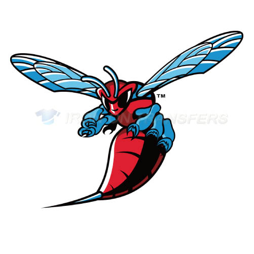 Delaware State Hornets Logo T-shirts Iron On Transfers N4251 - Click Image to Close